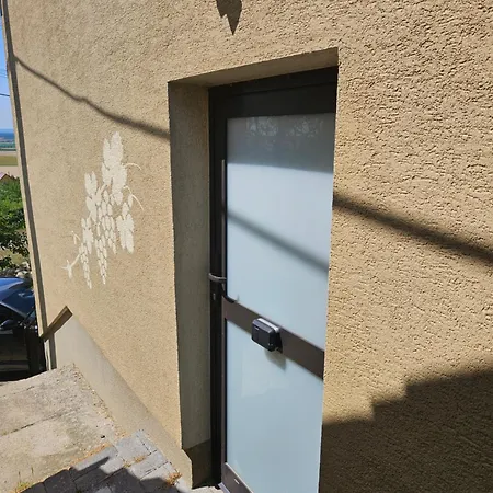 Vinohradnicky Domcek *