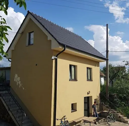 펜션 Vinohradnicky Domcek *