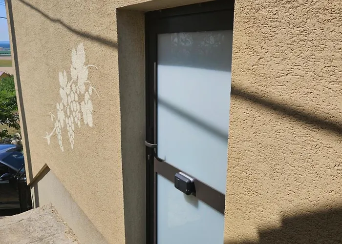 Vinohradnicky Domcek *