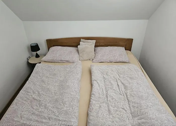 펜션 Vinohradnicky Domcek