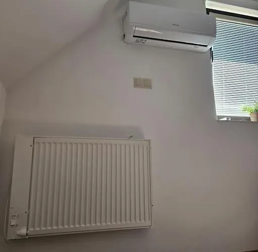 펜션 Vinohradnicky Domcek *