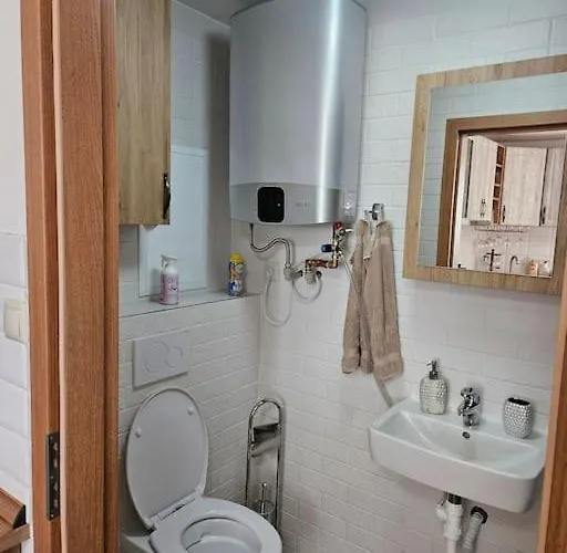 펜션 Vinohradnicky Domcek *